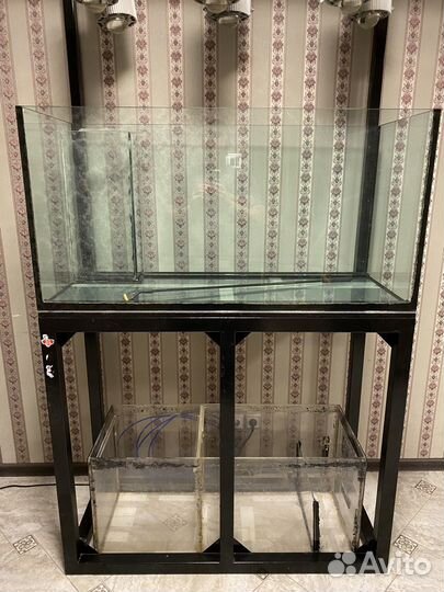 Морской аквариум+самп+рама, свет. Обьём 550 л