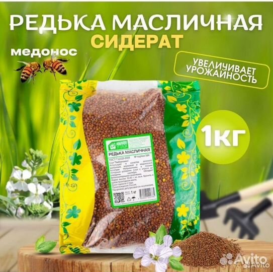 Сидераты Вика и Редька масличная