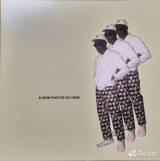 Tyler The Creator Flower Boy винил цветной