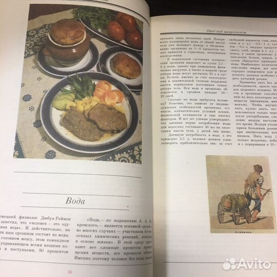 Русская кухня традиции и обычаи