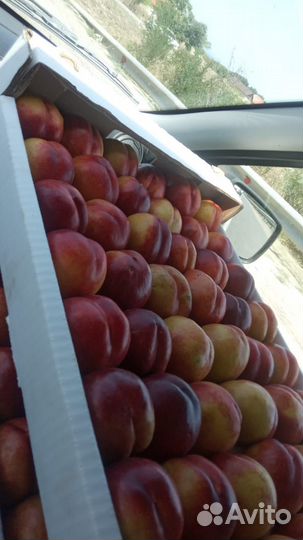 Персики, нектарин