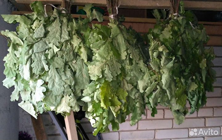 Дубовые Веники