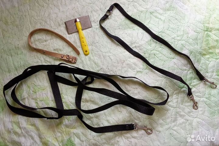 Лот.Ошейник для собаки, поводок, расческа, сворка