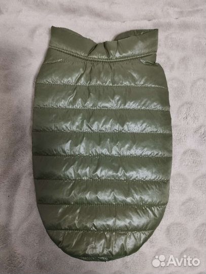 Для собачки: курточка и ошейник светящийся