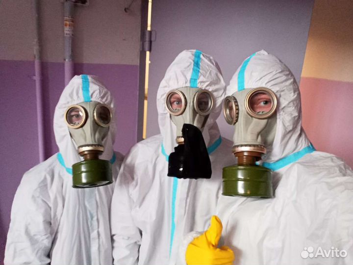 Уничтожение тараканов травля клопов уборка ртути