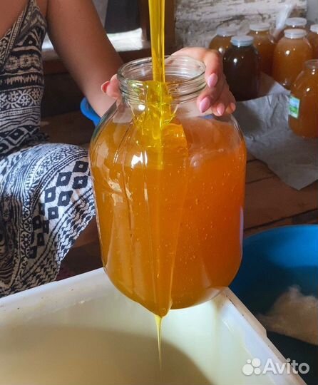 Мёд башкирский липовый