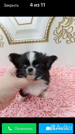 Мини мини эксклюзив