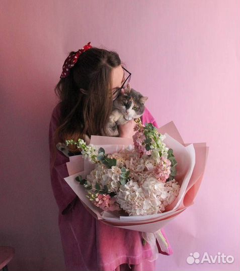 Гортензия маттиола