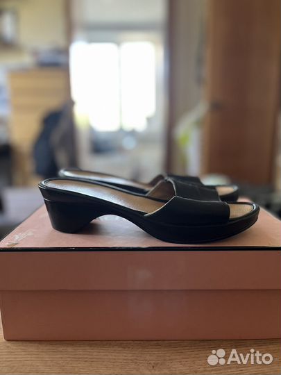 Scholl шлепанцы