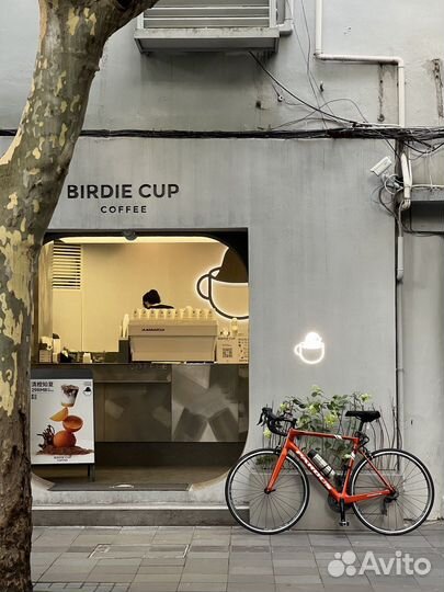 Топовый карбоновый шоссейник Pardus Robin Sport