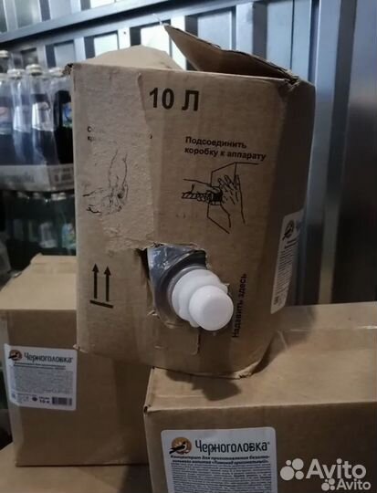 Сиропы из Черноголовки: Тархун, Дюшес, 10 л. BIB