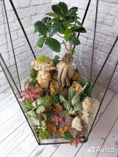 Флорариум Кристалл с бонсаем и водопадом
