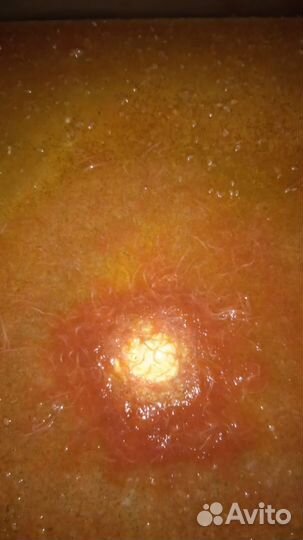 Израильский Трубочник Изя