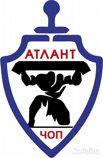 Начальник охраны объектов