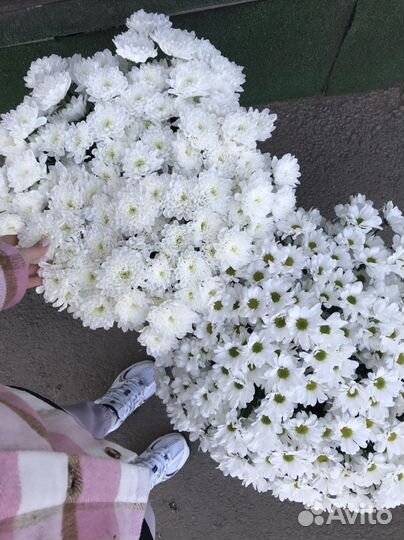 Неповторимые ромашки от Flowers124