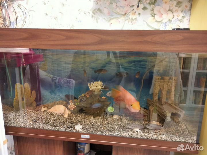 Аквариум с тумбой juwel