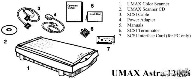 Umax Astra 1200S. Сканер планшетный