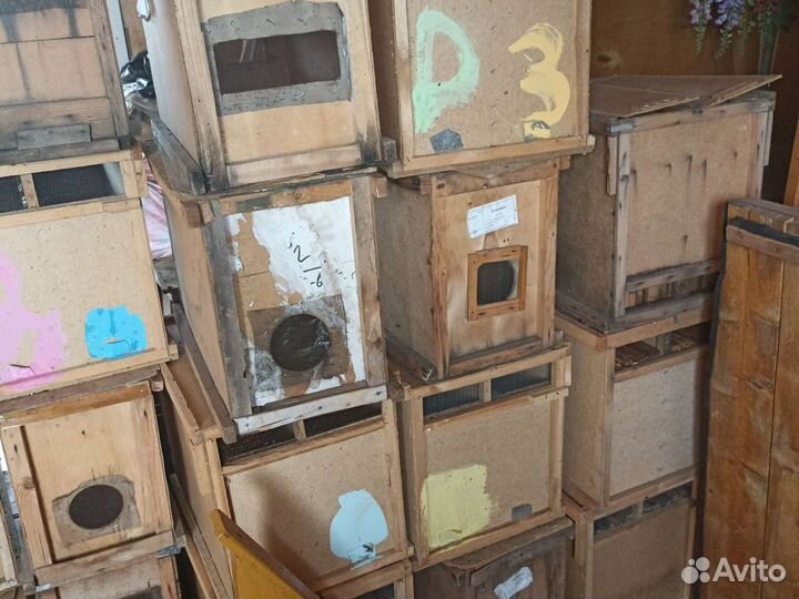 Ящики из под пчелопакетов