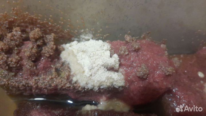 Живой корм, Израильский трубочник Изя