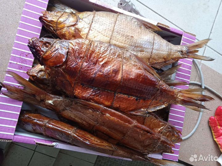 Свежая рыба