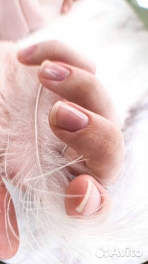 Японский маникюр Японский педикюр