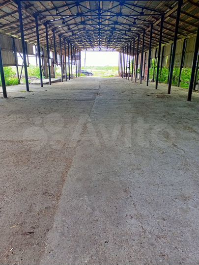 Свободного назначения, 800 м²