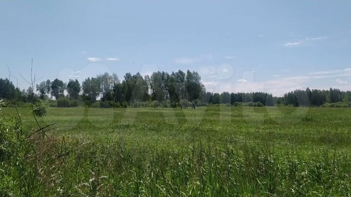 Участок 50 га (СНТ, ДНП)