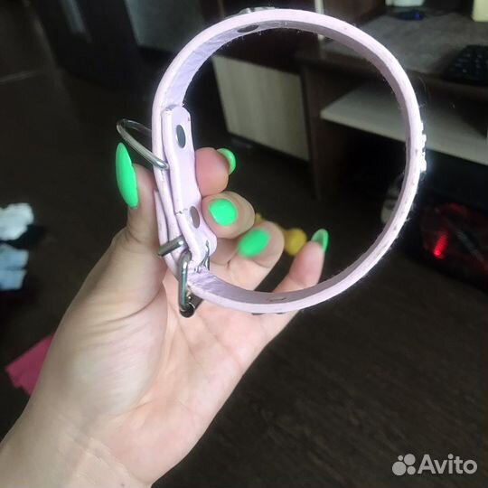 Ошейник для маленькой собаки