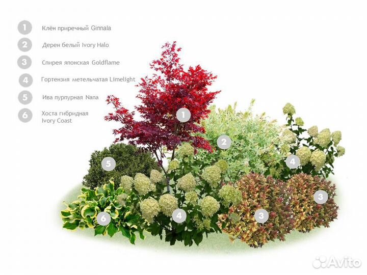 Модный цветник