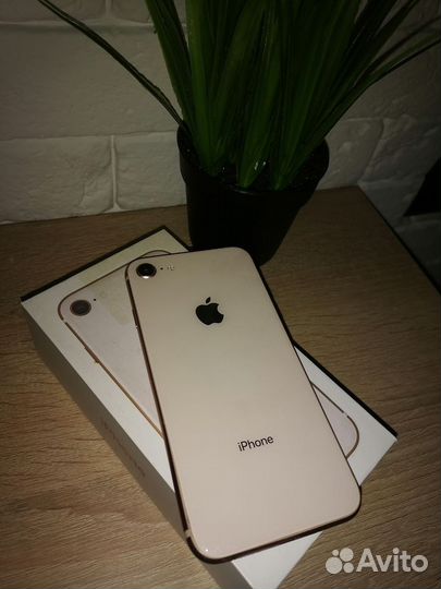 iPhone 8