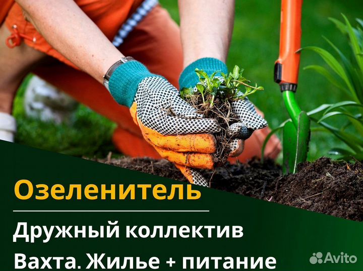 Вахта 60/30 Жильё питание / Озеленитель
