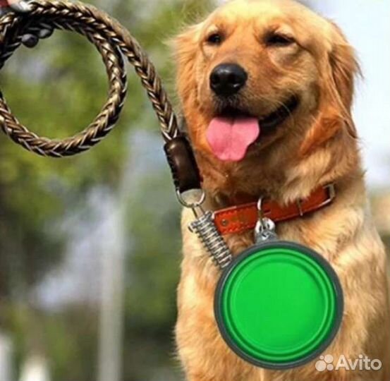 Скаладная миска для собаки