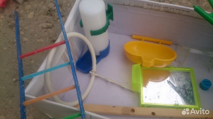 Товары для попугая