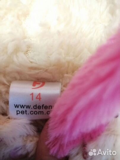 Одежда для собак