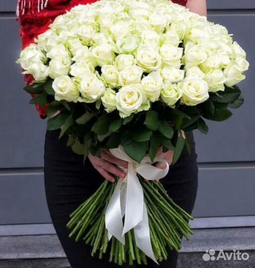 Розы 51шт, 101 шт с доставкой