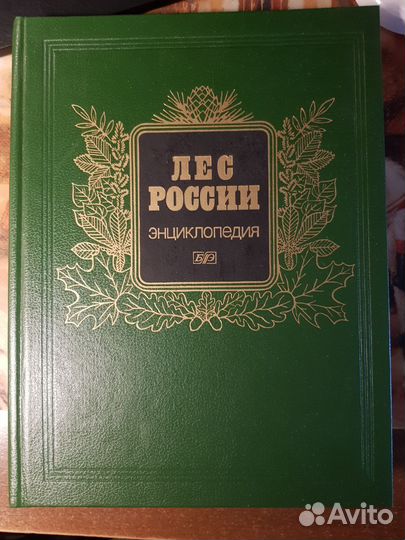 Энциклопедия