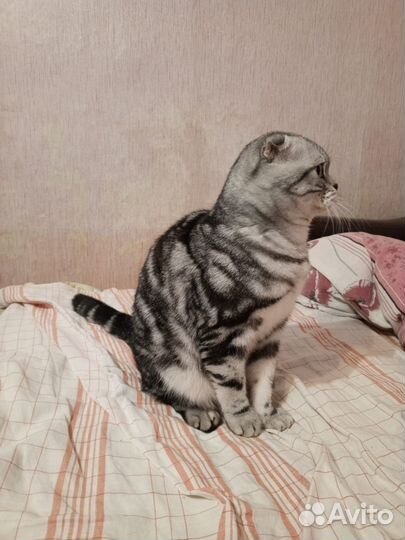 Предлагаю для вязки