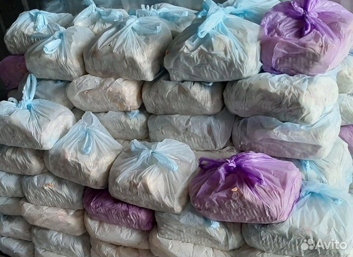 Суточные цыплята (петушки) на корм