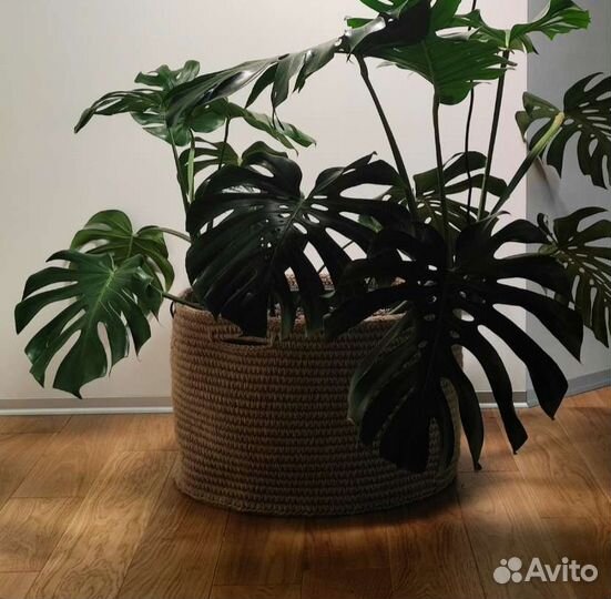 Кашпо для цветов из джута