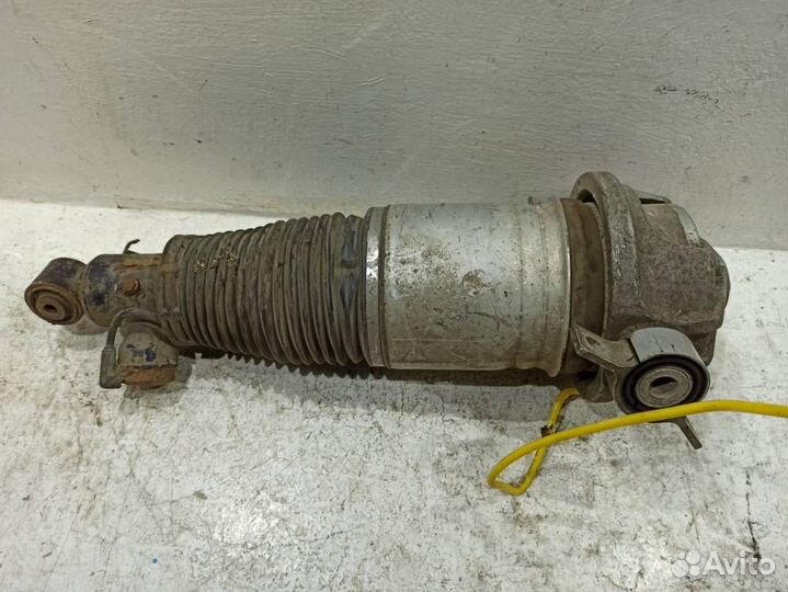 Пневмоамортизатор задний правый
