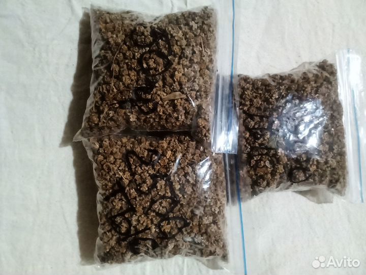 Свёкла кормовая Семена