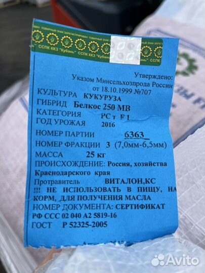 Семена кукурузы