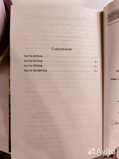 Раубриттер I Константин Соловьев