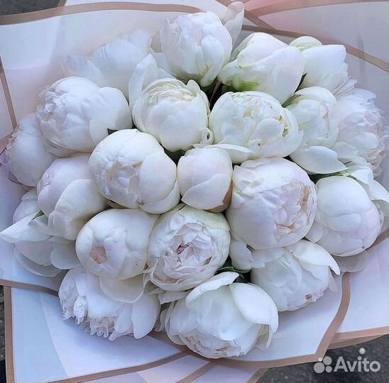 Пионы Розы Доставка