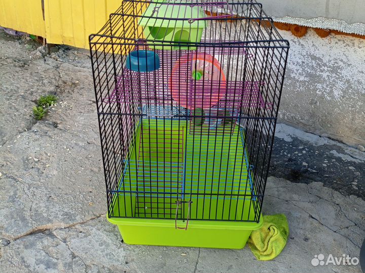 Клетка для джунгарского хомяка