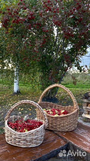 Корзина плетеная