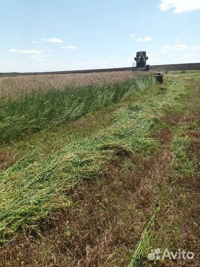 Сено и солома в тюках и рулонах