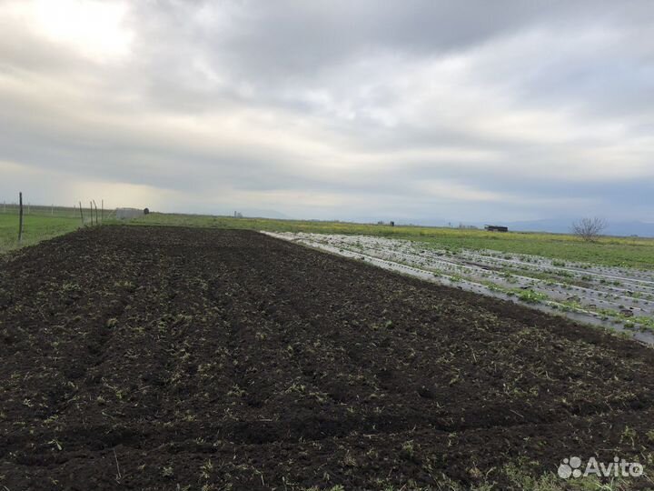 Вспашка огорода мотоблоком