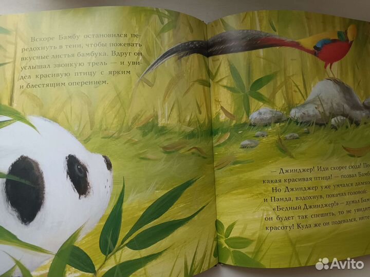 Хорошо, когда есть друг. Нигма