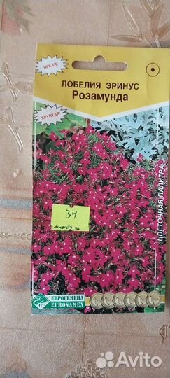 Рассада помидор, перцев и цветов